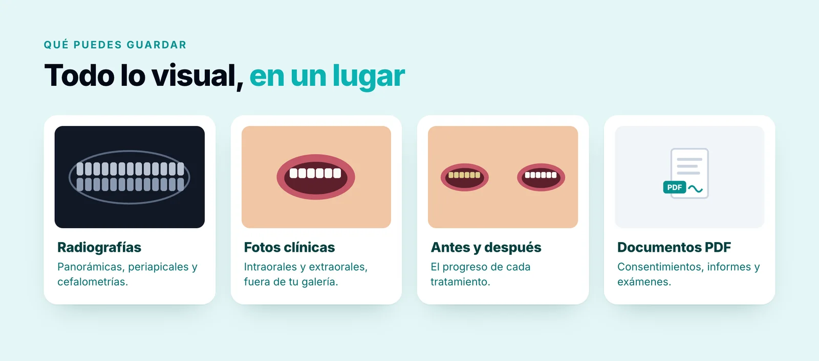 Tipos de archivos que puedes guardar en la ficha del paciente: radiografías, fotos clínicas, antes y después y documentos PDF